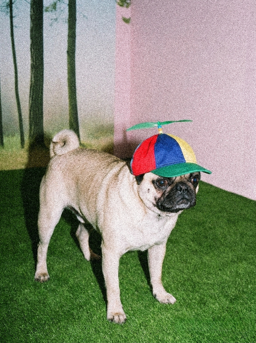 Chuchos Cap